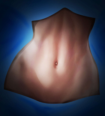 Abs Only cover