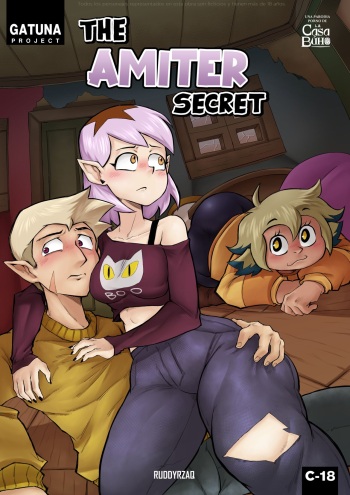 The Amiter Secret cover