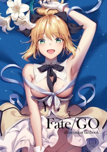 Fate/GO illustration fanbook. cover