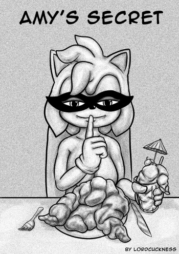 Amy's Secret cover