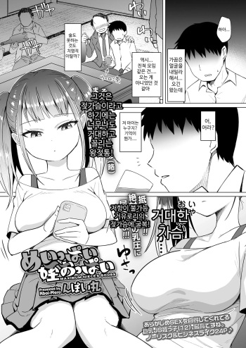Meippai Mei Oppai - MAXIMUM NIECE'S BOOBS | 눈이 가는 거유조카 cover