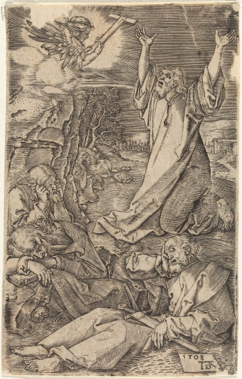 Albrecht Dürer cover