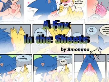 A Fox In The Sheets cover
