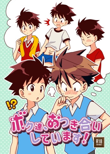 ボク達、おつき合いしています！ cover