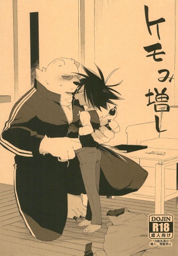 Kemomi Mashi cover