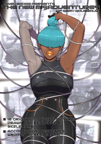 The New Misadventures cover