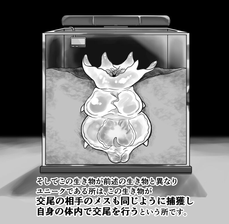 【衝撃】触手生物の巣穴にメスを入れてみた結果がヤバすぎた… page 2 full