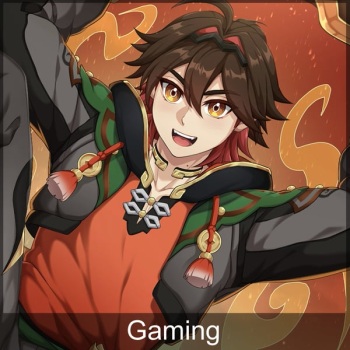 Gaming cover