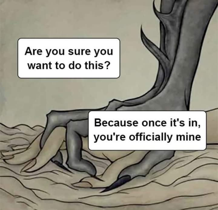 Smut Book Memes page 1 full