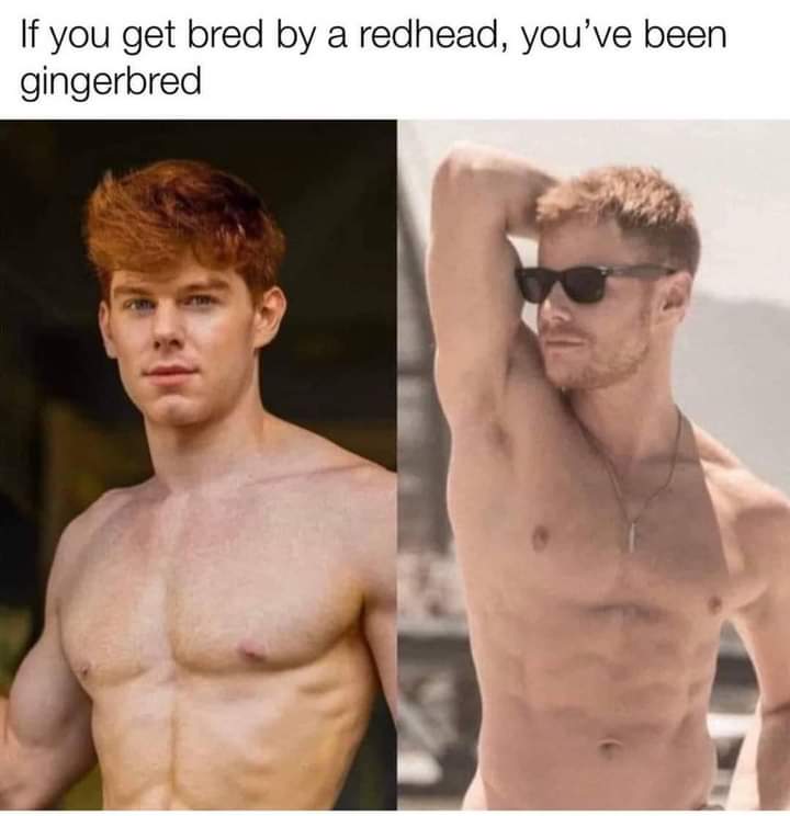 Smut Book Memes page 6 full