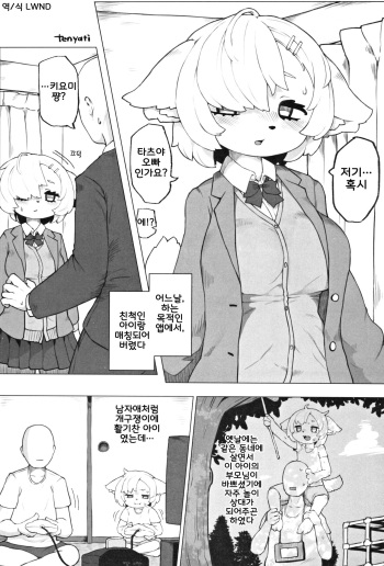 Untitled cover