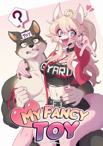 My Fancy Toy cover