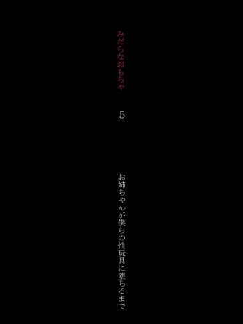 Midara na Omocha 5 ~Onee-chan ga Bokura no Seigangu ni Ochiru made~ cover