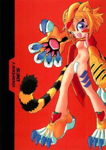 maebari DES cover