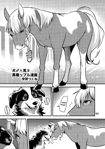 Perro♂×Caballo♀ cover