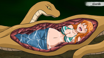 Nami Struggle cover