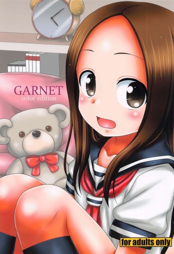 GARNET color edition cover