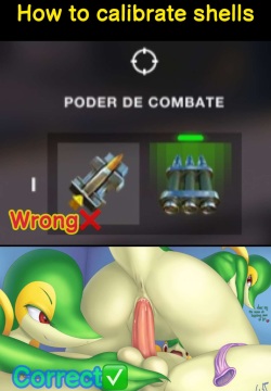 explicit erotic memes translated English