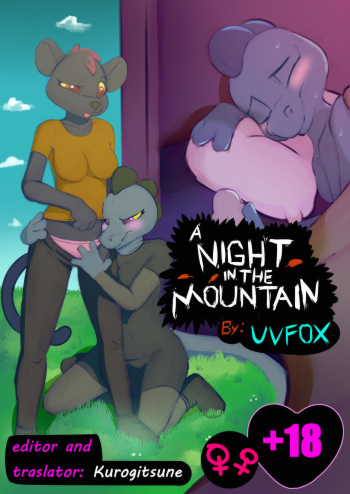 A Night in the Mountain cover
