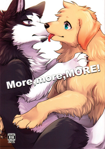 More,more,MORE! cover