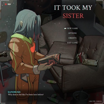 IT TOOK MY SISTER cover