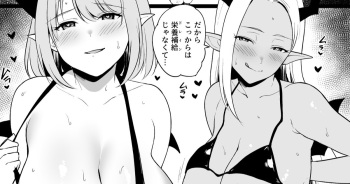 Isshoukenmei Tameta Keikenchi o Toorisugari no Gal Succubus ni Isshun de Suitsukusareru Yuusha-sama cover