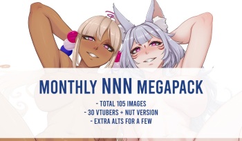 NNN Megapack cover