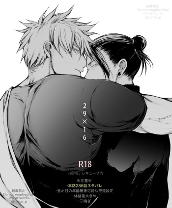 29×16 / 29×27 in airport cover