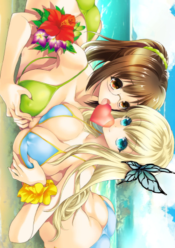 Harem End cover
