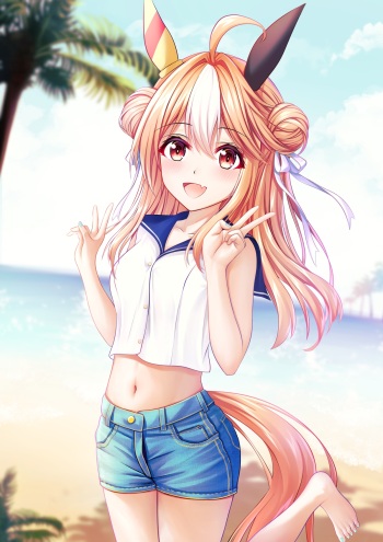 fjfx cover