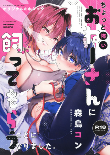 Chotto Kowai Onee-san ni Kattemorau Koto ni Narimashita cover