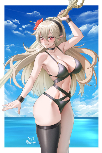 Corrin cover