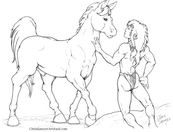 Equine Transformations cover