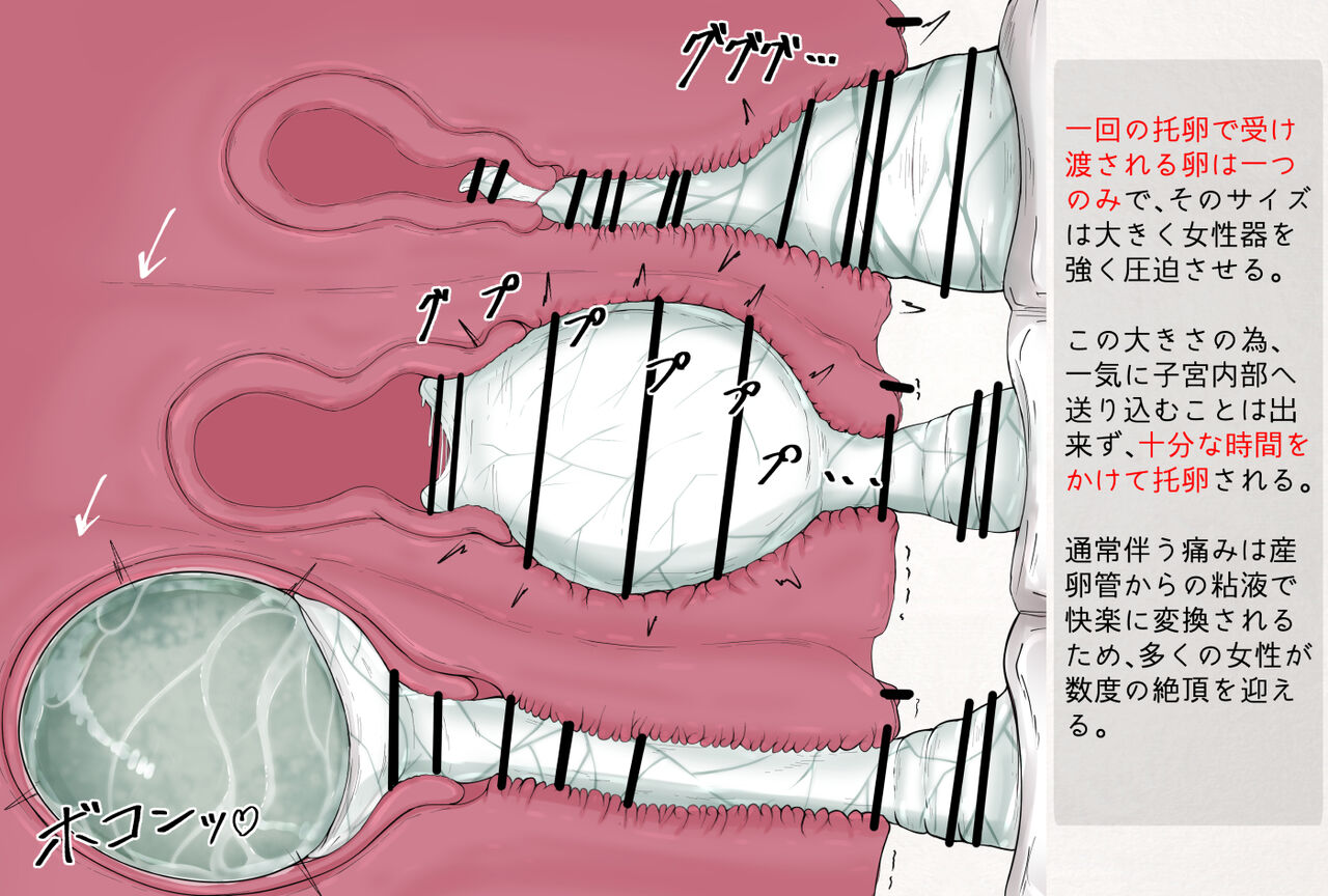 蟲研究レポートEX_No.08 page 4 full