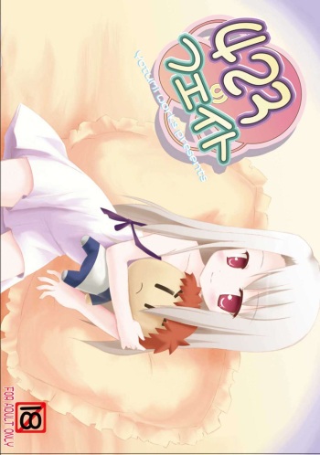 423 no Fate cover