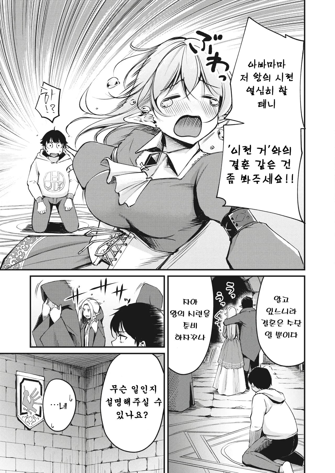 Hakoiri Elf no Oujo-sama | 규중 엘프의 왕녀님 page 3 full