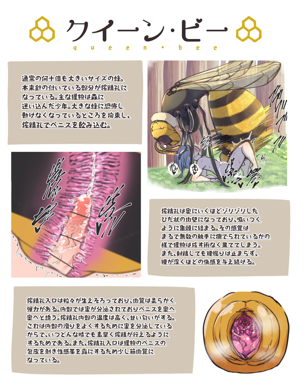 Shibosei Seibutsu Zukan page 4 full