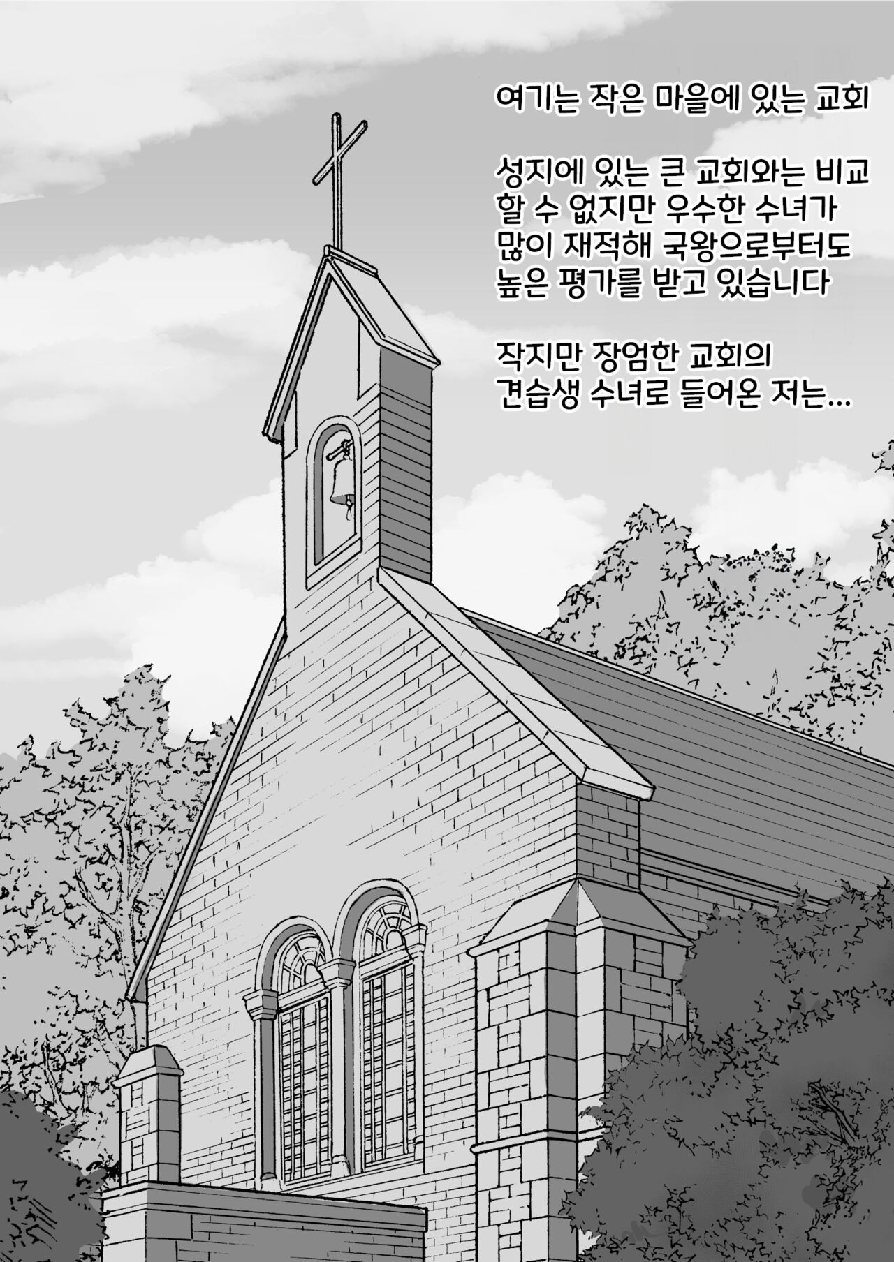 Otona Ni Akogareru Minarai Shisuta no Kuri Ochi Taiko Nikki | 어른을 동경하는 견습생 시스터의 클리 타락 대항일기 page 2 full