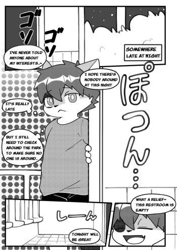 Secret hobby cover