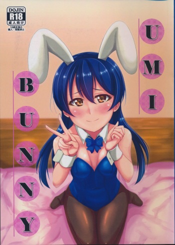 UMI BUNNY cover