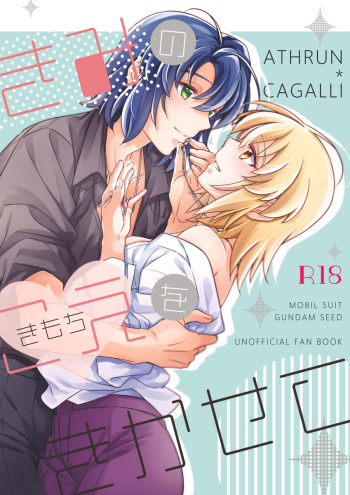 Kimi no koe  o kikasete cover