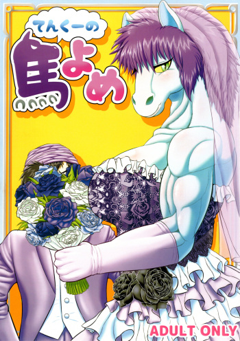 Tenkuu no Uma Yome cover