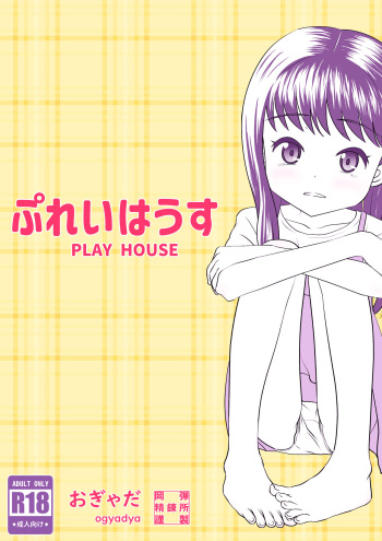 Playhouse cover