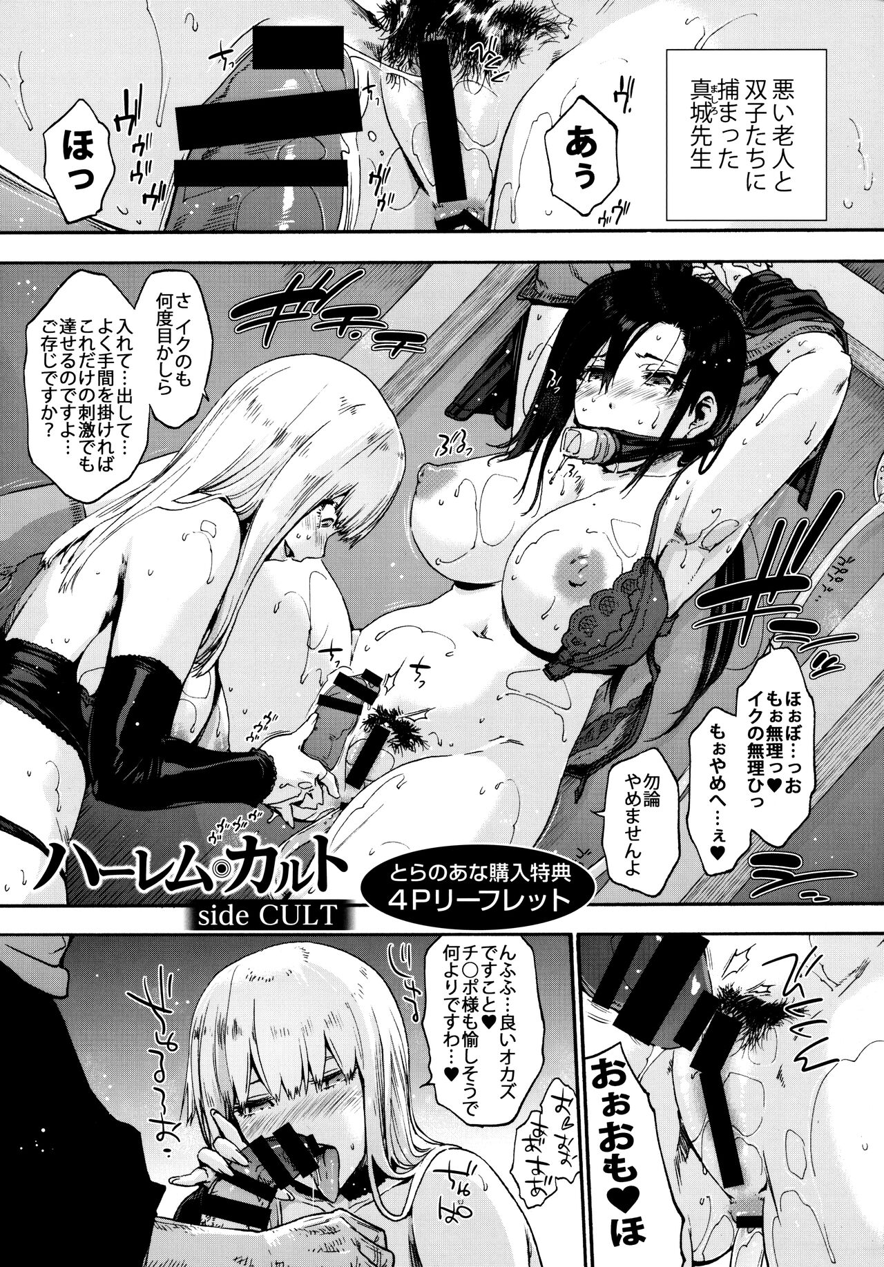 Harem Cult side CULT Toranoana + Melonbooks Tokuten Leaflet page 1 full