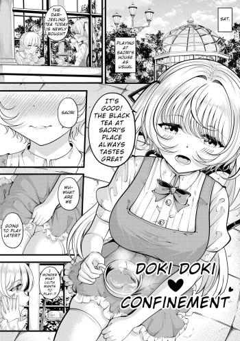 Lilith's Troubles—Doki Doki Confinement cover