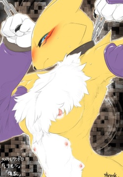 ARTIST Yukaran Nosuke