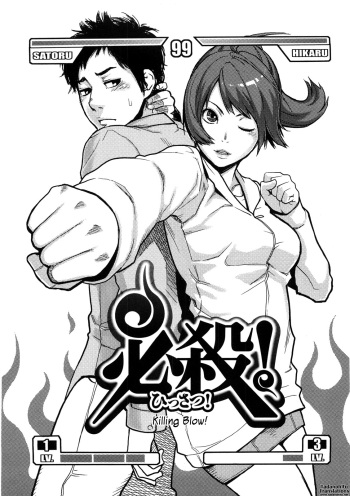 Killing Blow! 必殺の一撃! cover