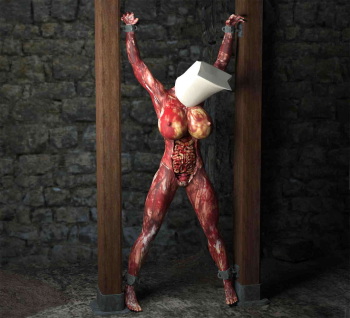 Flaying-Torture cover