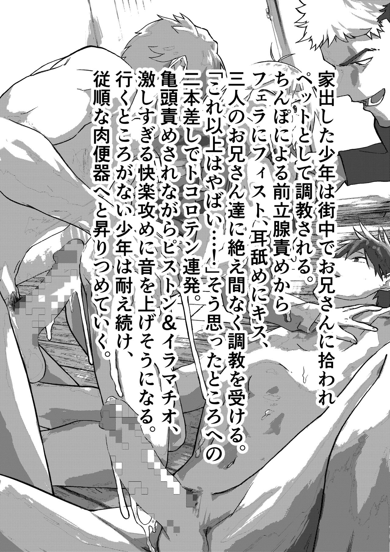 Iede Shounen Anaru Choukyou Niku Benki page 3 full