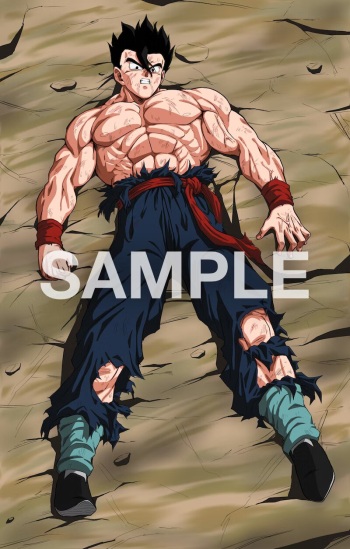 gohan vs broly cover
